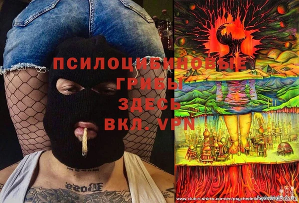 твердый Дмитров