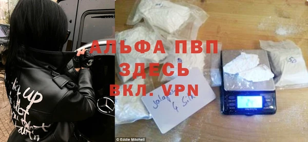 гашик Дмитриев