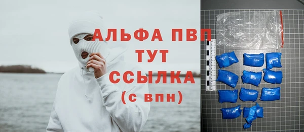 гашик Дмитриев