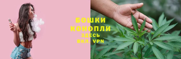 дживик Гусь-Хрустальный