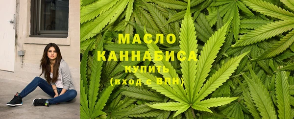 твердый Дмитров