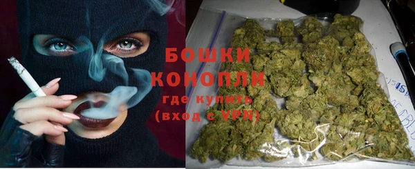 твердый Дмитров