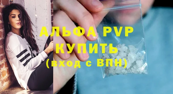 стафф Надым