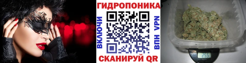 Бошки марихуана индика  площадка какой сайт  Жигулёвск  как найти закладки 
